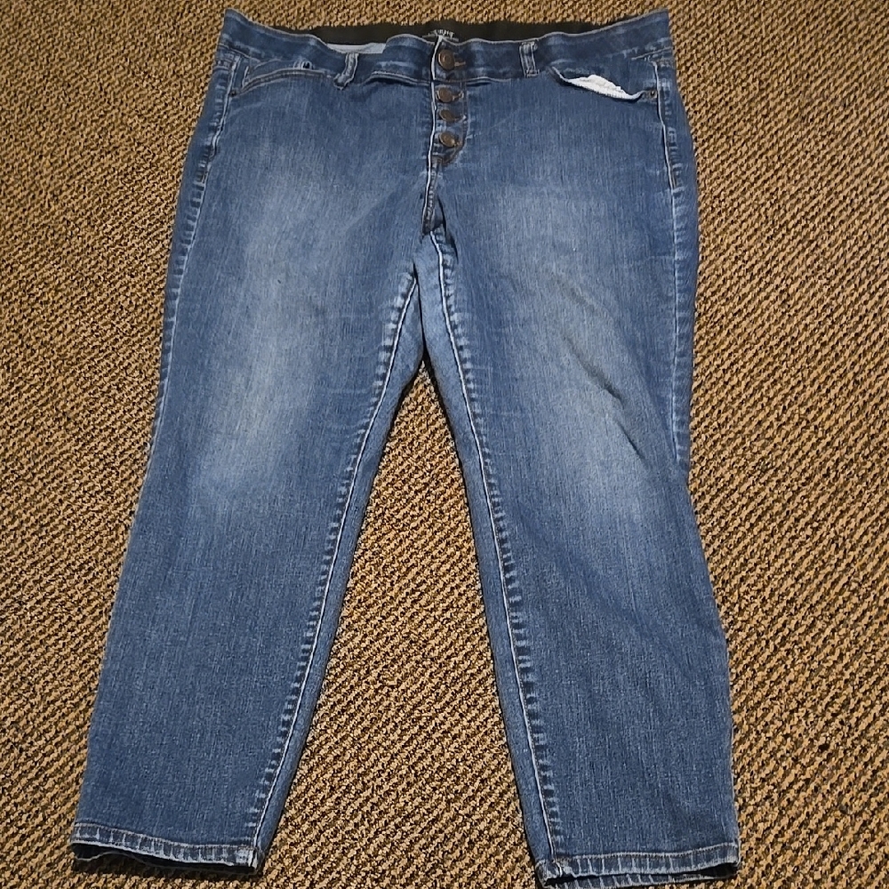 Venezia By Lane Bryant Classic Blue Denim Skinny Jeans